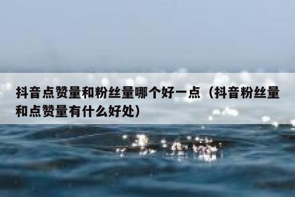 抖音点赞量和粉丝量哪个好一点(抖音粉丝量和点赞量有什么好处) 第1张 抖音点赞量和粉丝量哪个好一点(抖音粉丝量和点赞量有什么好处) 第1张