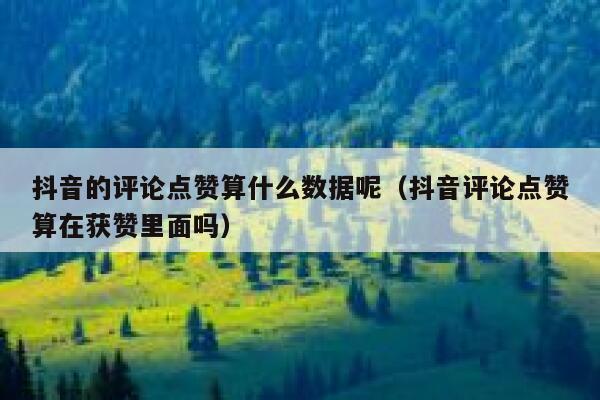 抖音的评论点赞算什么数据呢（抖音评论点赞算在获赞里面吗） 第1张