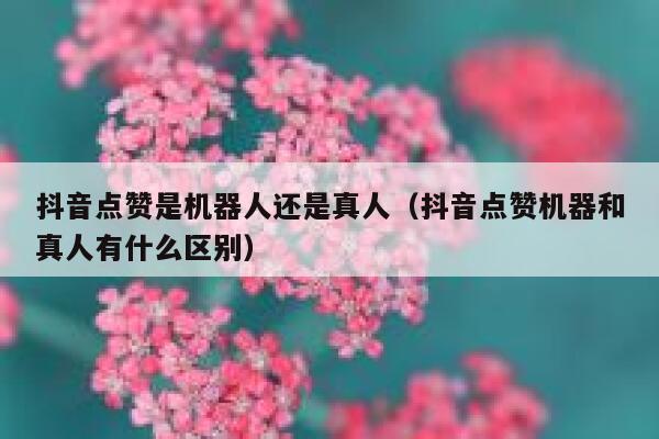 抖音点赞是机器人还是真人(抖音点赞机器和真人有什么区别) 第1张 抖音点赞是机器人还是真人(抖音点赞机器和真人有什么区别) 第1张