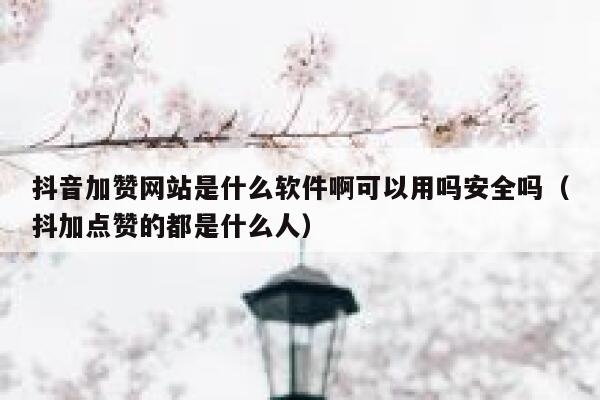 抖音加赞网站是什么软件啊可以用吗安全吗(抖加点赞的都是什么人) 第1张 抖音加赞网站是什么软件啊可以用吗安全吗(抖加点赞的都是什么人) 第1张