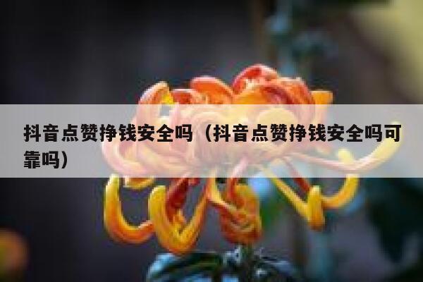 抖音点赞挣钱安全吗(抖音点赞挣钱安全吗可靠吗) 第1张 抖音点赞挣钱安全吗(抖音点赞挣钱安全吗可靠吗) 第1张