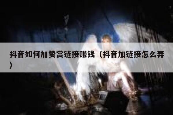 抖音如何加赞赏链接赚钱(抖音加链接怎么弄) 第1张 抖音如何加赞赏链接赚钱(抖音加链接怎么弄) 第1张