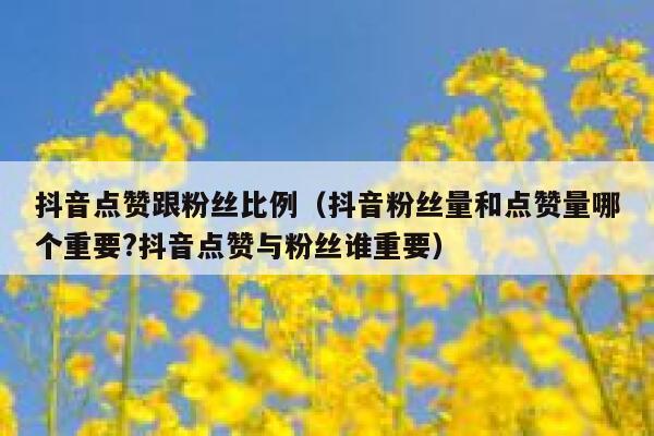抖音点赞跟粉丝比例(抖音粉丝量和点赞量哪个重要?抖音点赞与粉丝谁重要) 第1张 抖音点赞跟粉丝比例(抖音粉丝量和点赞量哪个重要?抖音点赞与粉丝谁重要) 第1张