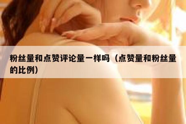 粉丝量和点赞评论量一样吗(点赞量和粉丝量的比例) 第1张 粉丝量和点赞评论量一样吗(点赞量和粉丝量的比例) 第1张