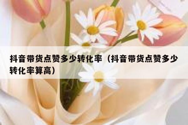 抖音带货点赞多少转化率(抖音带货点赞多少转化率算高) 第1张 抖音带货点赞多少转化率(抖音带货点赞多少转化率算高) 第1张