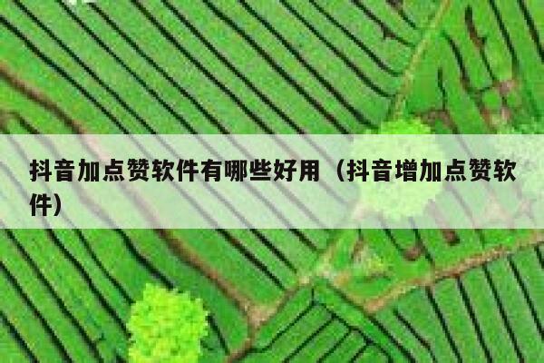 抖音加点赞软件有哪些好用(抖音增加点赞软件) 第1张 抖音加点赞软件有哪些好用(抖音增加点赞软件) 第1张