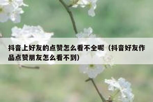 抖音上好友的点赞怎么看不全呢（抖音好友作品点赞朋友怎么看不到） 第1张