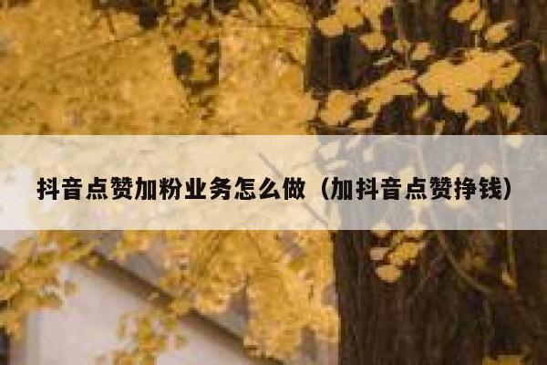 抖音点赞加粉业务怎么做（加抖音点赞挣钱） 第1张