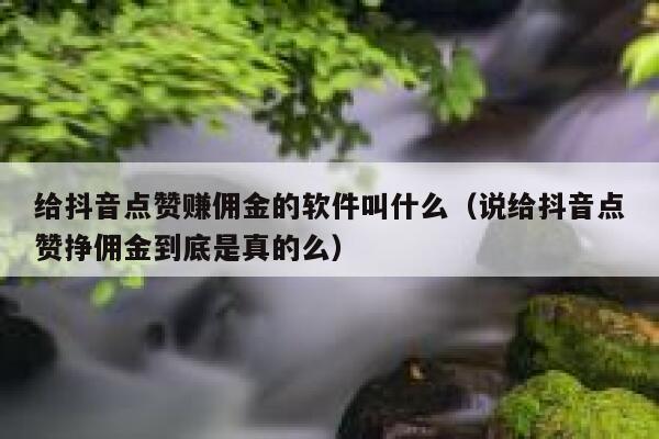 给抖音点赞赚佣金的软件叫什么(说给抖音点赞挣佣金到底是真的么) 第1张 给抖音点赞赚佣金的软件叫什么(说给抖音点赞挣佣金到底是真的么) 第1张
