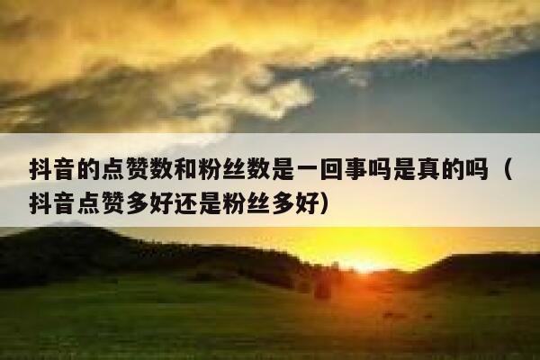 抖音的点赞数和粉丝数是一回事吗是真的吗(抖音点赞多好还是粉丝多好) 第1张 抖音的点赞数和粉丝数是一回事吗是真的吗(抖音点赞多好还是粉丝多好) 第1张