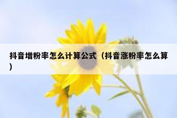 抖音增粉率怎么计算公式(抖音涨粉率怎么算) 第1张 抖音增粉率怎么计算公式(抖音涨粉率怎么算) 第1张