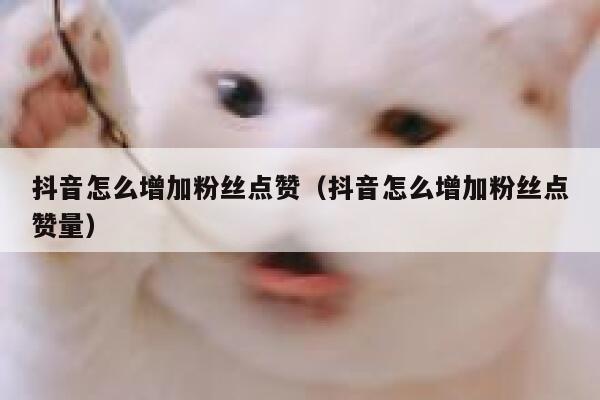 抖音怎么增加粉丝点赞（抖音怎么增加粉丝点赞量） 第1张