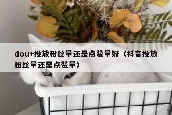 dou+投放粉丝量还是点赞量好（抖音投放粉丝量还是点赞量） 第1张