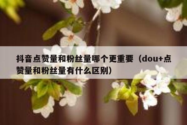 抖音点赞量和粉丝量哪个更重要（dou+点赞量和粉丝量有什么区别） 第1张
