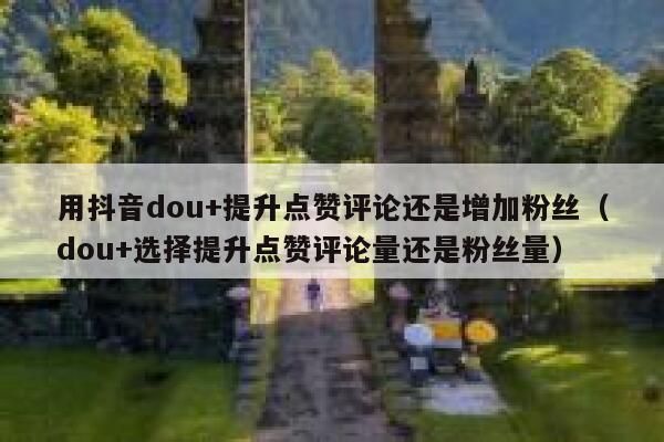 用抖音dou+提升点赞评论还是增加粉丝（dou+选择提升点赞评论量还是粉丝量） 第1张