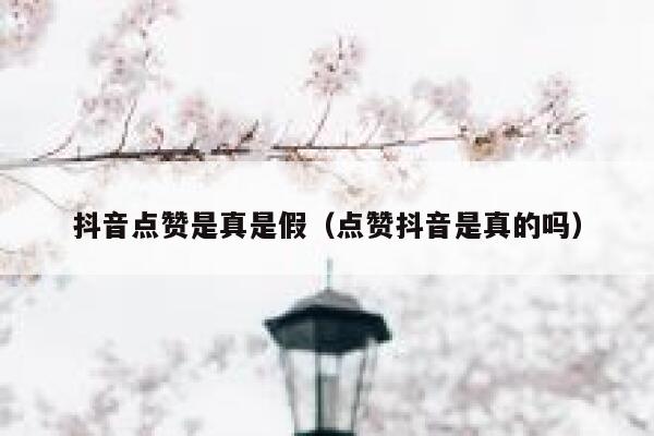 抖音点赞是真是假（点赞抖音是真的吗） 第1张