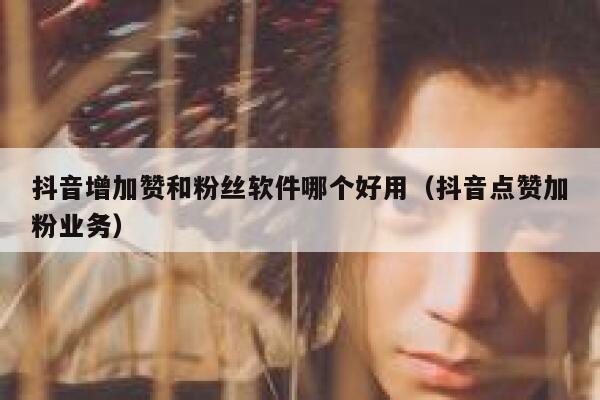 抖音增加赞和粉丝软件哪个好用(抖音点赞加粉业务) 第1张 抖音增加赞和粉丝软件哪个好用(抖音点赞加粉业务) 第1张