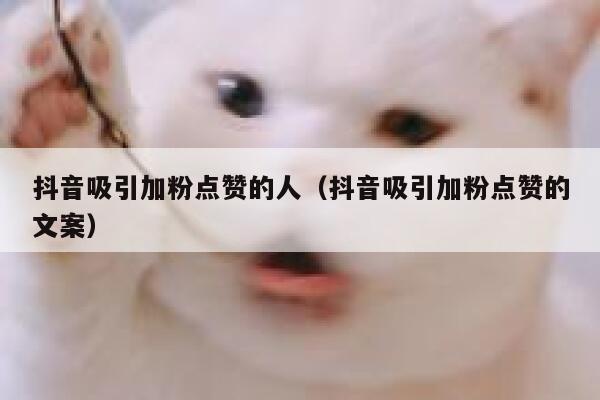 抖音吸引加粉点赞的人（抖音吸引加粉点赞的文案） 第1张