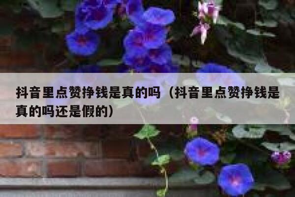 抖音里点赞挣钱是真的吗（抖音里点赞挣钱是真的吗还是假的） 第1张