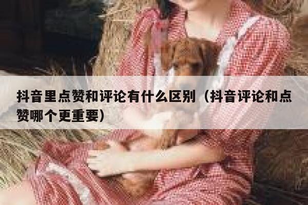 抖音里点赞和评论有什么区别（抖音评论和点赞哪个更重要） 第1张