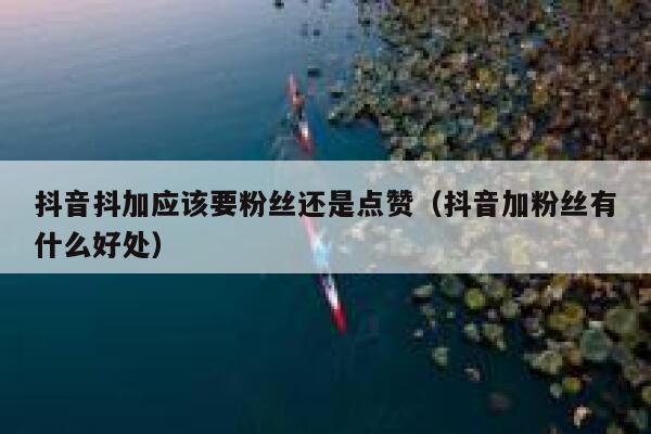 抖音抖加应该要粉丝还是点赞（抖音加粉丝有什么好处） 第1张