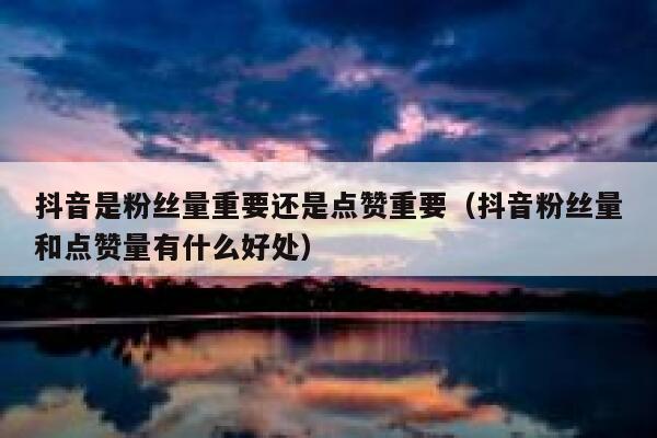 抖音是粉丝量重要还是点赞重要（抖音粉丝量和点赞量有什么好处） 第1张