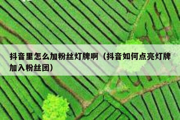 抖音里怎么加粉丝灯牌啊（抖音如何点亮灯牌加入粉丝团） 第1张