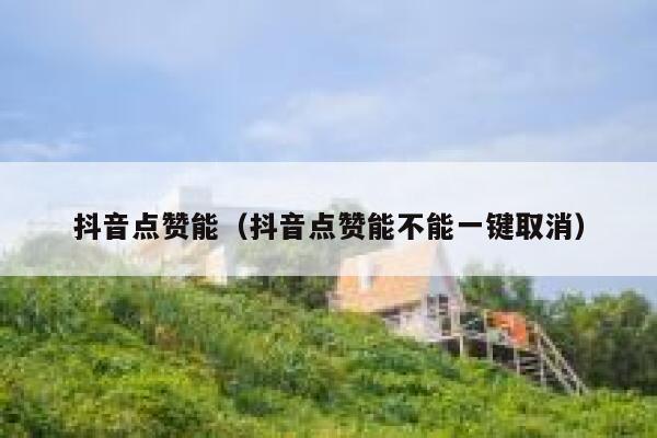 抖音点赞能（抖音点赞能不能一键取消） 第1张