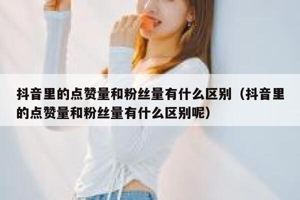 抖音里的点赞量和粉丝量有什么区别(抖音里的点赞量和粉丝量有什么区别呢) 第1张 抖音里的点赞量和粉丝量有什么区别(抖音里的点赞量和粉丝量有什么区别呢) 第1张