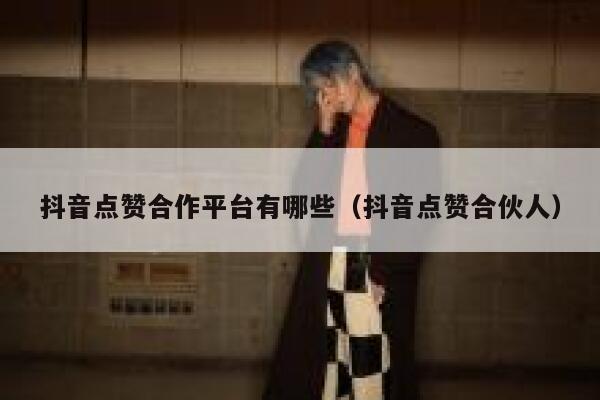 抖音点赞合作平台有哪些(抖音点赞合伙人) 第1张 抖音点赞合作平台有哪些(抖音点赞合伙人) 第1张