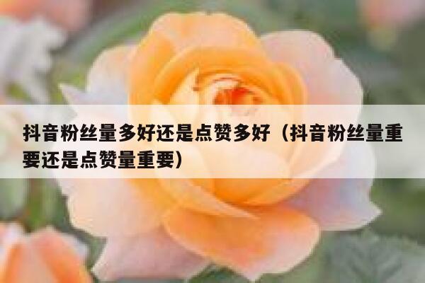 抖音粉丝量多好还是点赞多好（抖音粉丝量重要还是点赞量重要） 第1张