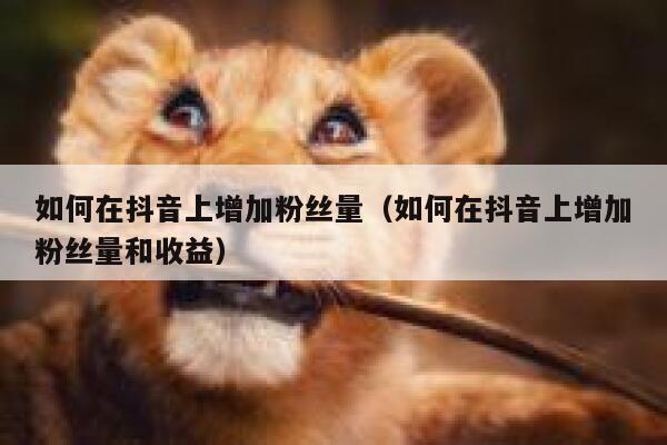 如何在抖音上增加粉丝量(如何在抖音上增加粉丝量和收益) 第1张 如何在抖音上增加粉丝量(如何在抖音上增加粉丝量和收益) 第1张