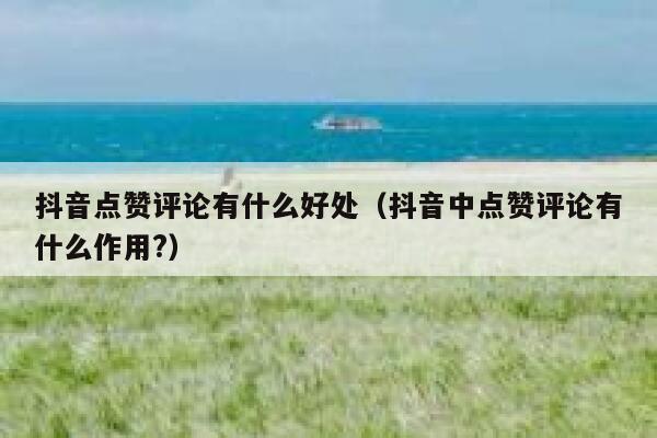 抖音点赞评论有什么好处（抖音中点赞评论有什么作用?） 第1张