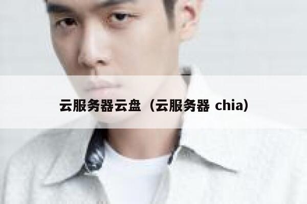 云服务器云盘（云服务器 chia） 第1张