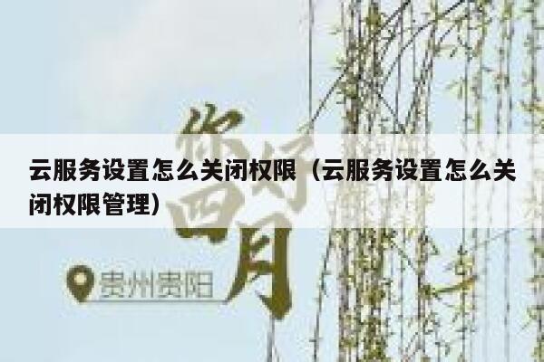 云服务设置怎么关闭权限（云服务设置怎么关闭权限管理） 第1张
