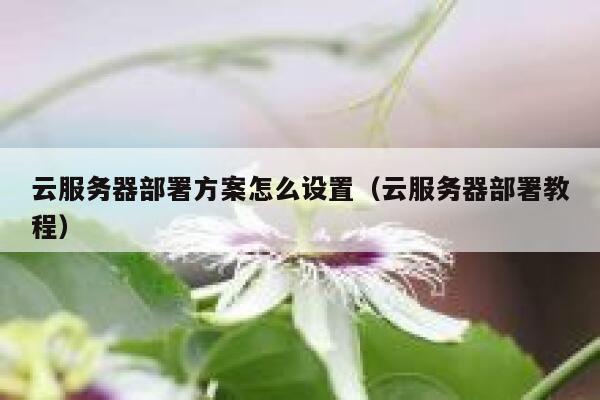 云服务器部署方案怎么设置（云服务器部署教程） 第1张