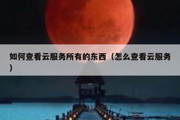 如何查看云服务所有的东西（怎么查看云服务） 第1张