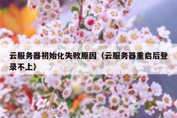云服务器初始化失败原因（云服务器重启后登录不上） 第1张