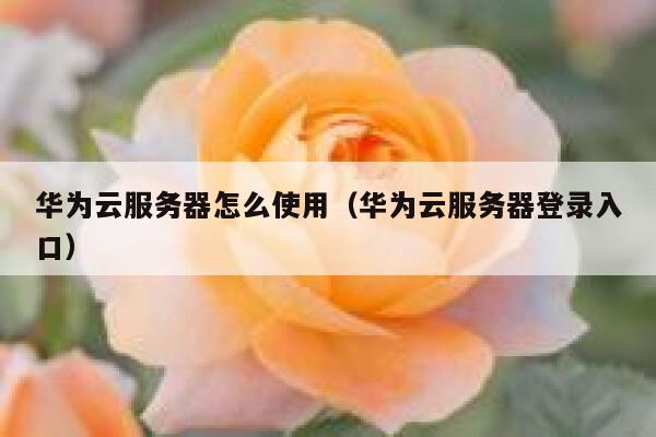 华为云服务器怎么使用(华为云服务器登录入口) 第1张 华为云服务器怎么使用(华为云服务器登录入口) 第1张