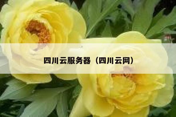 四川云服务器(四川云网) 第1张 四川云服务器(四川云网) 第1张