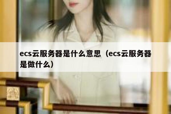 ecs云服务器是什么意思（ecs云服务器是做什么） 第1张