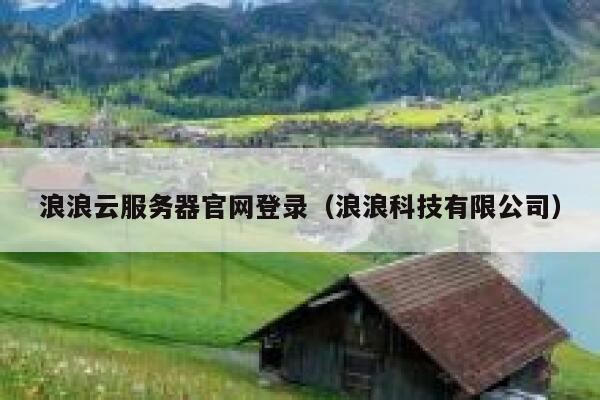 浪浪云服务器官网登录（浪浪科技有限公司） 第1张