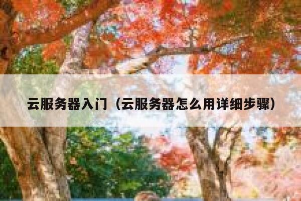 云服务器入门(云服务器怎么用详细步骤) 第1张 云服务器入门(云服务器怎么用详细步骤) 第1张