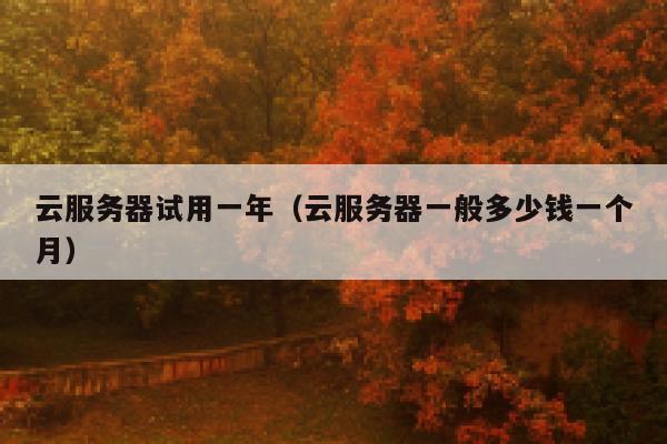 云服务器试用一年（云服务器一般多少钱一个月） 第1张