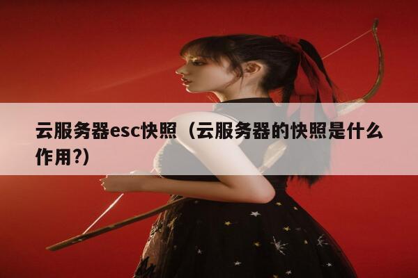 云服务器esc快照（云服务器的快照是什么作用?） 第1张