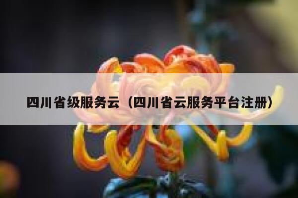 四川省级服务云(四川省云服务平台注册) 第1张 四川省级服务云(四川省云服务平台注册) 第1张