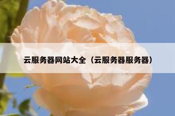 云服务器网站大全（云服务器服务器） 第1张