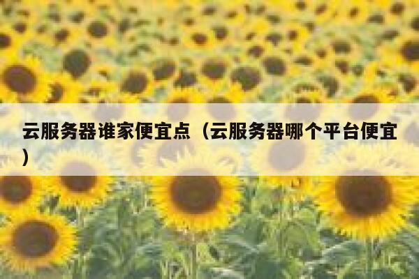 云服务器谁家便宜点（云服务器哪个平台便宜） 第1张