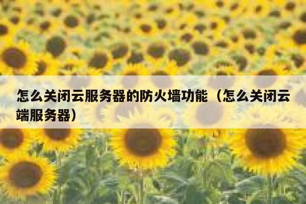 怎么关闭云服务器的防火墙功能(怎么关闭云端服务器) 第1张 怎么关闭云服务器的防火墙功能(怎么关闭云端服务器) 第1张