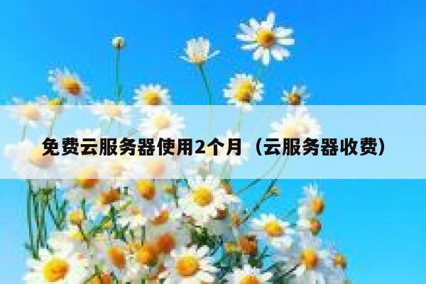 免费云服务器使用2个月(云服务器收费) 第1张 免费云服务器使用2个月(云服务器收费) 第1张